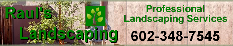  Raul's Landscaping Services - Anthem, Cave Creek, Scottsdale, Phoenix, AZ